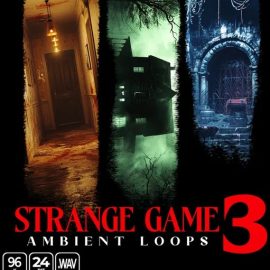 Epic Stock Media Strange Game Ambient Loops 3 (Premium)