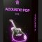 Producer Assistant Acoustic Pop Kits Vol.4 (Premium)