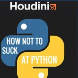 Gumroad – How not to suck at Python / SideFX Houdini (Premium)