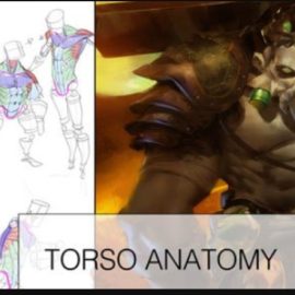 Gumroad –Torso Anatomy Lesson + Painting! (Premium)