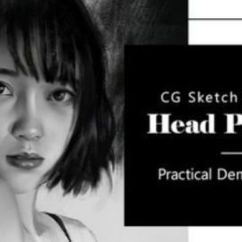 Wingfox – CG Sketch Painting: Head Portrait (Premium)