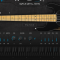 Ample Sound Ample Metal RAY5 AMR v4.0.1 WiN macOS (Premium)