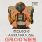Bingoshakerz Melodic and Afro House Grooves (Premium)