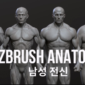 CGBump – Zbrush Senior Anatomy (Male) (Premium)