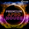 Catalyst Samples Premium Afro House (Premium)