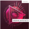 Concept Samples Organic Artefacts (Premium)