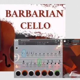 David Forner Barbarian Cello v1.2 KONTAKT (Premium)