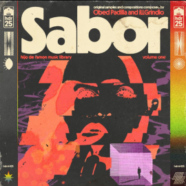 Hijo De Ramon Music Library 25 Sabor (Compositions and Stems) (Premium)