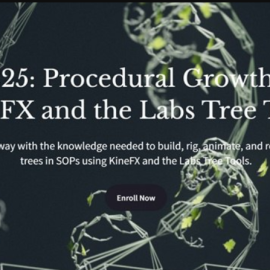 Houdini School – HS-225 Procedural Growth with KineFX and the Labs Tree Tools  (Premium)