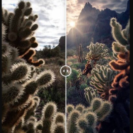 Max Rive Photography – Photoshop Sunstar Creation Tutorial (Premium)