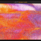 Native Instruments Leap Modern Latin v1.0.0 KONTAKT  (Premium)