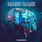 New Loops Hard Bass WAV KONTAKT (Premium)