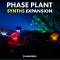 New Loops Phase Plant Synths Expansion KILOHEARTS PHASE PLANT PRESETS (Premium)