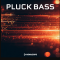 New Loops Pluck Bass (Premium)