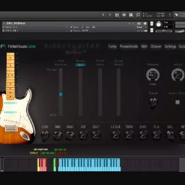 Pettinhouse Direct Guitar 4 KONTAKT (Premium)