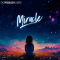 Producer Loops Miracle MULTiFORMAT (Premium)
