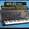 The Sound of Machines MS-20 Mini: Percussive Synth Samples AiFF (Premium)