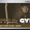 TrueFire Chris Buono Guitar Gym Triad Chord Scales Major (Premium)