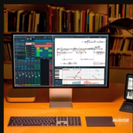 Steinberg Dorico Pro v6.0.10 (Premium)